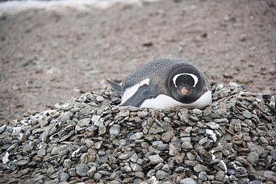 轻松治愈的屋顶建造游戏《高空之上》Steam页面 发售日待定