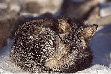 《毁灭战士：黑暗时代》使用光追升级玩法 而不仅仅是画面