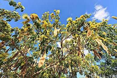 Steam新品节前瞻：SRPG《逆向坍塌：面包房行动》开放多章节试玩