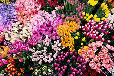 育碧《XDefiant》PC版发售时将是Connect独占